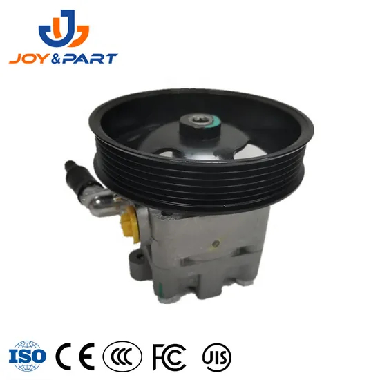 Factory Direct Supply Auto Spare Car Parts 49110-8h305 Power Steering Pump