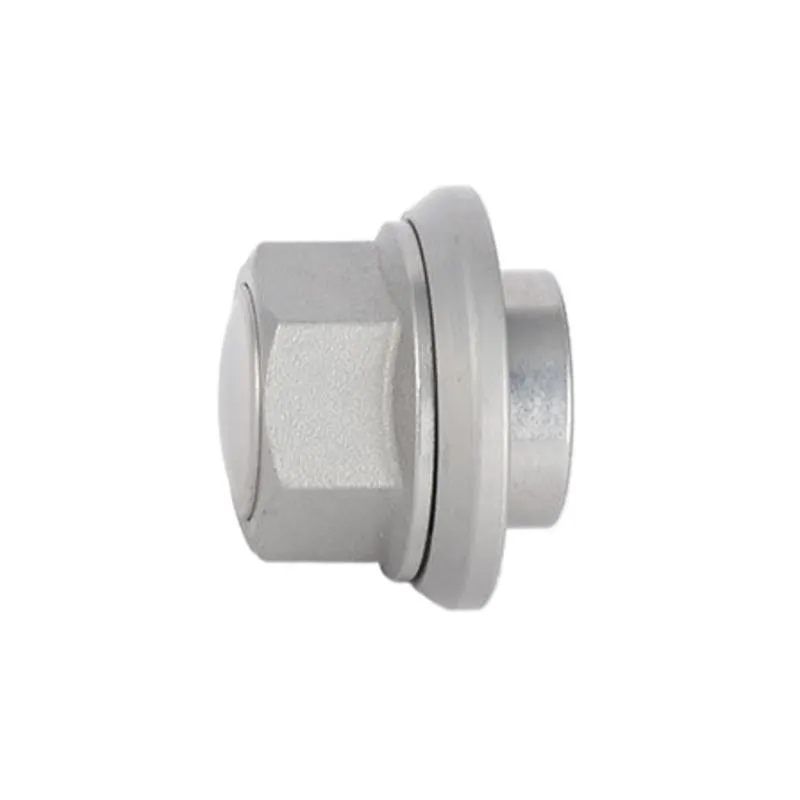 Titanium Natural Color for Auto Parts Fastener