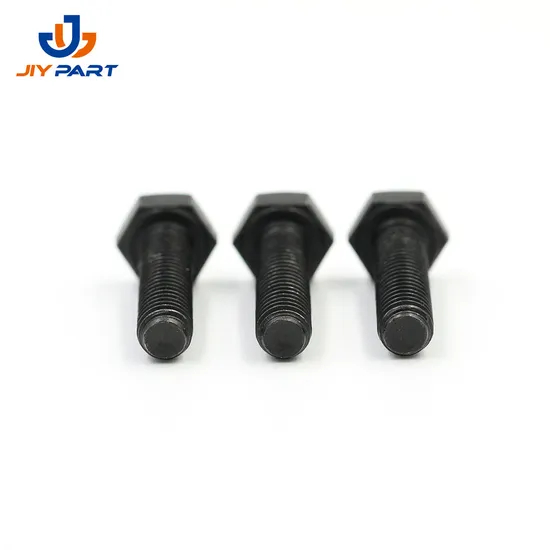 High Strength Black Corrosion and Rust Resistant Hex Head Bolt