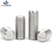 with Shank Slotted Headless Screws