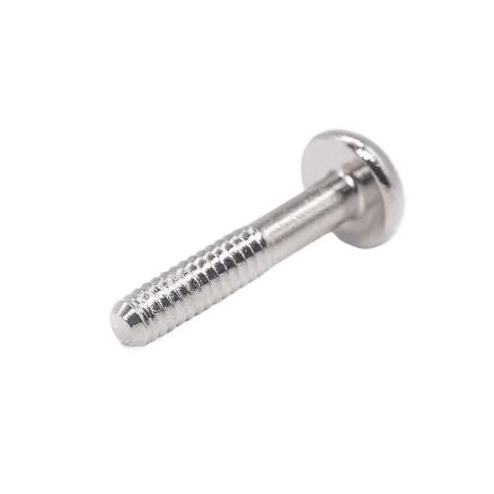 High Quality Fastener with Diverse Type of Bolt