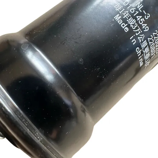 OEM Original China Supplier Auto Spare Parts Fuel Filter