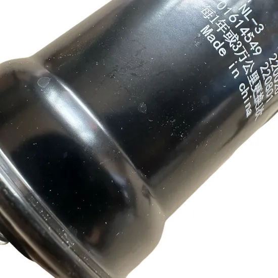 OEM Original China Supplier Auto Spare Parts Fuel Filter