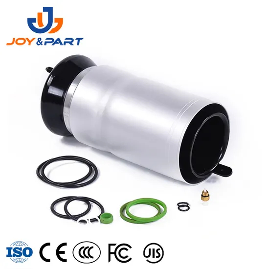 Auto Spare Suspension Parts Front Air Suspension Spring Repair Kit