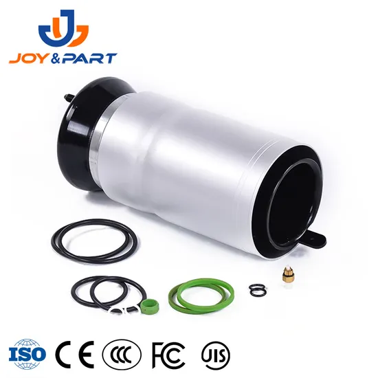 Auto Spare Suspension Parts Front Air Suspension Spring Repair Kit