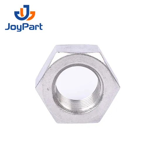 Carbon Steel Stainless Steel Hexagon Nut DIN934