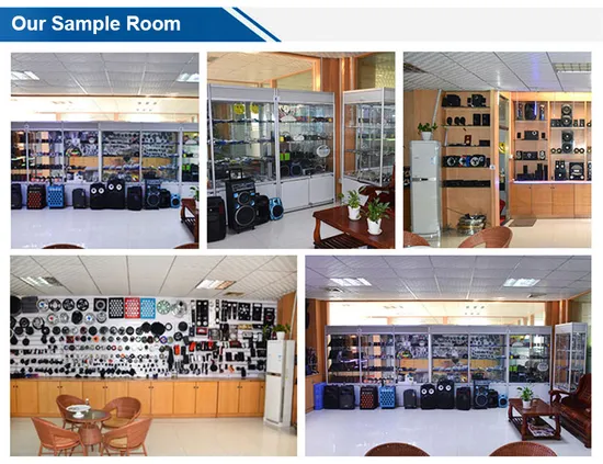 China Customized Chassis Damping System for Car