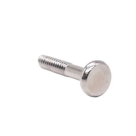 Revised Design Fasteners Stainless Steel Roof Bolt