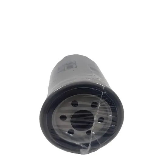 Auto Parts Fs1003 Truck Fuel Filter for Truck Engine