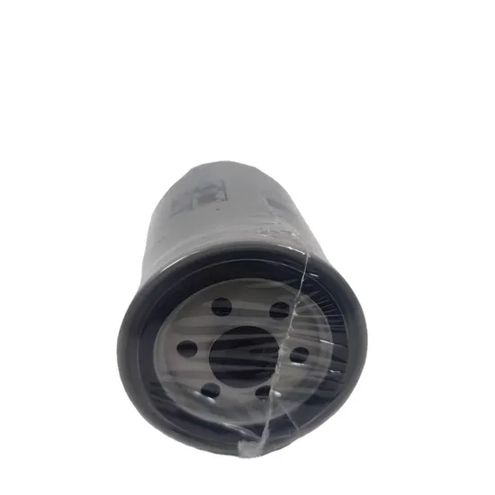 Auto Parts Fs1003 Truck Fuel Filter for Truck Engine