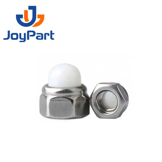 SS316 Self Locking Nut Cap Nut Stainless Steel 304 DIN986 Dome Nylon OEM ODM Plain Obm DIN 2-5 Days for Standard Parts Metric