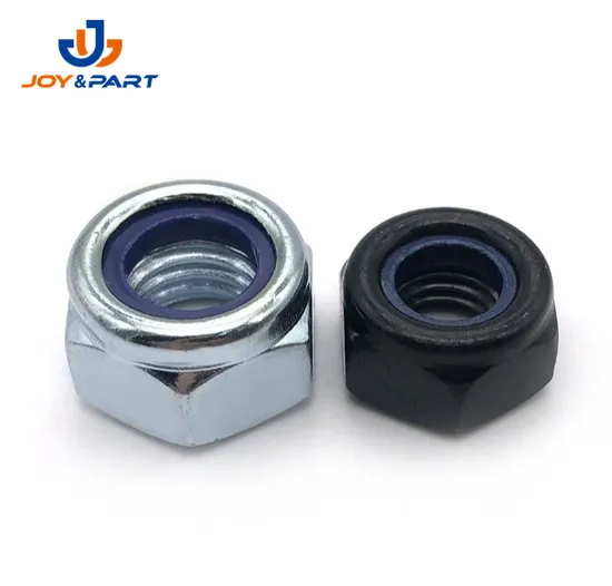 Auto Fasteners White Nylon Insert Lock Nuts Stainless Steel 304 ISO10512