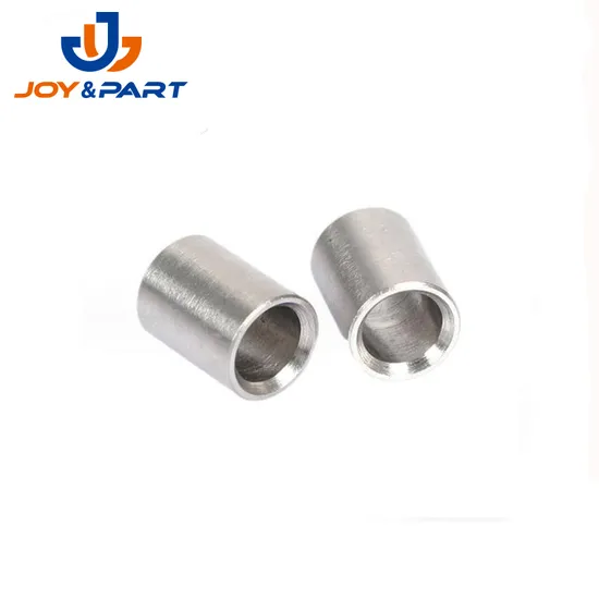 Customized or Special Bush for Auto Part