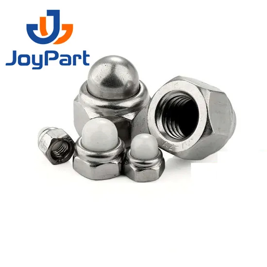 SS316 Self Locking Nut Cap Nut Stainless Steel 304 DIN986 Dome Nylon OEM ODM Plain Obm DIN 2-5 Days for Standard Parts Metric
