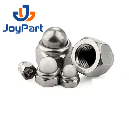 SS316 Self Locking Nut Cap Nut Stainless Steel 304 DIN986 Dome Nylon OEM ODM Plain Obm DIN 2-5 Days for Standard Parts Metric