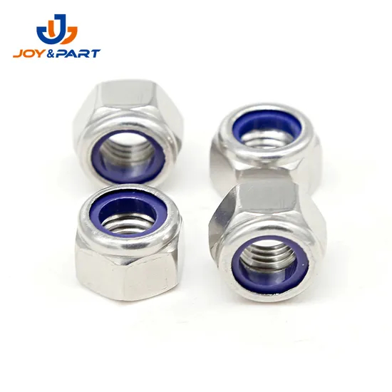 Auto Fasteners White Nylon Insert Lock Nuts Stainless Steel 304 ISO10512