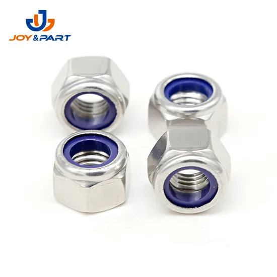 Auto Fasteners White Nylon Insert Lock Nuts Stainless Steel 304 ISO10512
