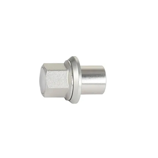 Titanium Natural Color for Auto Parts Fastener