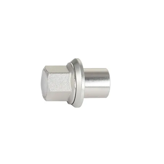 Titanium Natural Color for Auto Parts Fastener