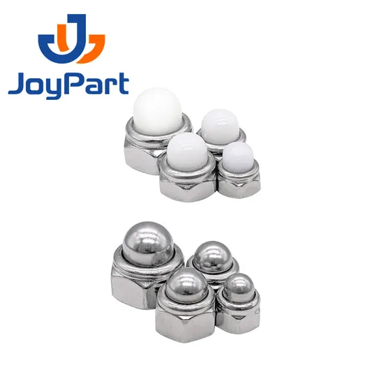 SS316 Self Locking Nut Cap Nut Stainless Steel 304 DIN986 Dome Nylon OEM ODM Plain Obm DIN 2-5 Days for Standard Parts Metric