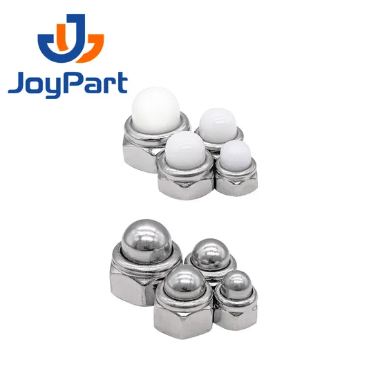 SS316 Self Locking Nut Cap Nut Stainless Steel 304 DIN986 Dome Nylon OEM ODM Plain Obm DIN 2-5 Days for Standard Parts Metric
