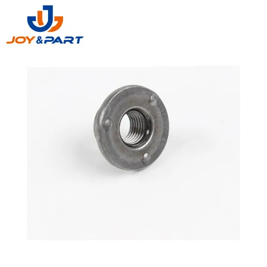 Round Welded Nuts for Auto