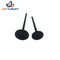 Car Auto Spare Parts Diesel Engine Intake Valve Exhaust Valve