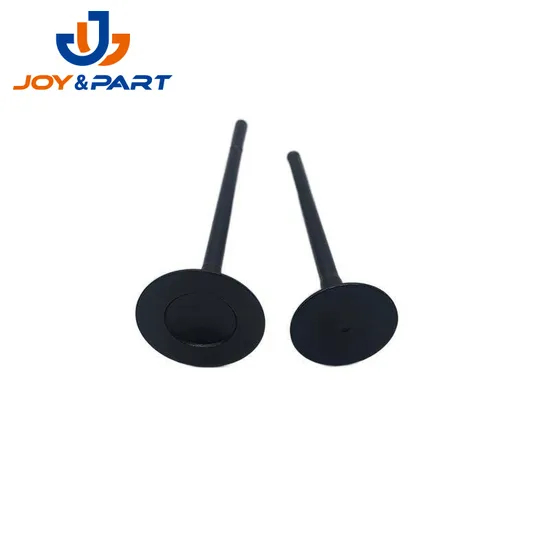 Car Auto Spare Parts Diesel Engine Intake Valve Exhaust Valve