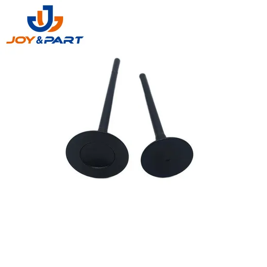 Car Auto Spare Parts Diesel Engine Intake Valve Exhaust Valve