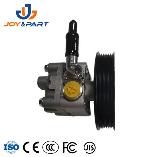 Factory Direct Supply Auto Spare Car Parts 49110-8h305 Power Steering Pump