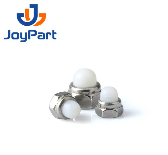 SS316 Self Locking Nut Cap Nut Stainless Steel 304 DIN986 Dome Nylon OEM ODM Plain Obm DIN 2-5 Days for Standard Parts Metric