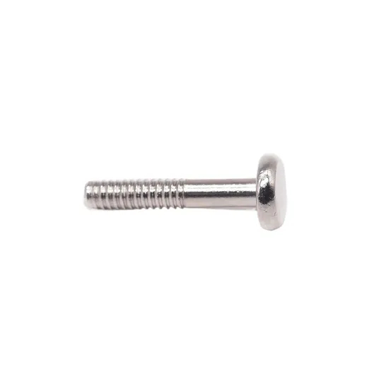 Revised Design Fasteners Stainless Steel Roof Bolt