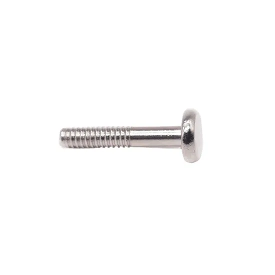 Revised Design Fasteners Stainless Steel Roof Bolt