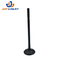 Car Auto Spare Parts Diesel Engine Intake Valve Exhaust Valve