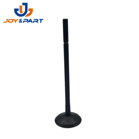 Car Auto Spare Parts Diesel Engine Intake Valve Exhaust Valve