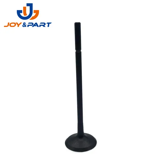 Car Auto Spare Parts Diesel Engine Intake Valve Exhaust Valve