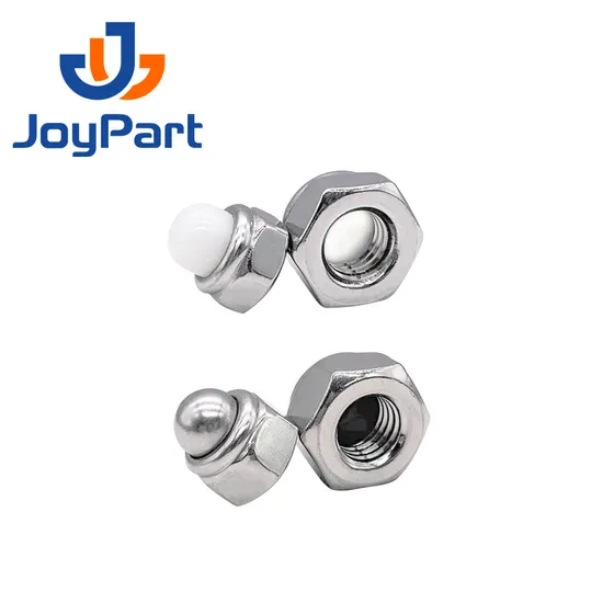 SS316 Self Locking Nut Cap Nut Stainless Steel 304 DIN986 Dome Nylon OEM ODM Plain Obm DIN 2-5 Days for Standard Parts Metric