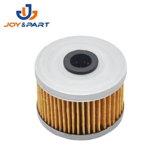 Custom Oil Filter Motorbike Parts Motorcycle Oil Filter for Bn125 Eliminator Ninja