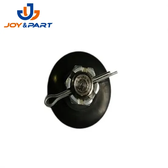 43330-09510 Ball Joint Is Suitable for Japanese Car