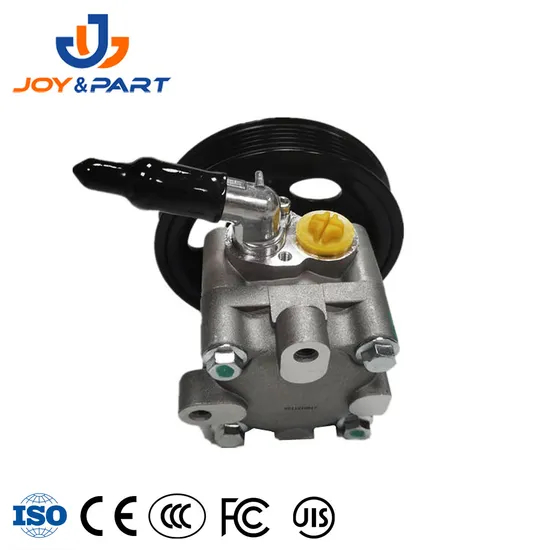 Factory Direct Supply Auto Spare Car Parts 49110-8h305 Power Steering Pump