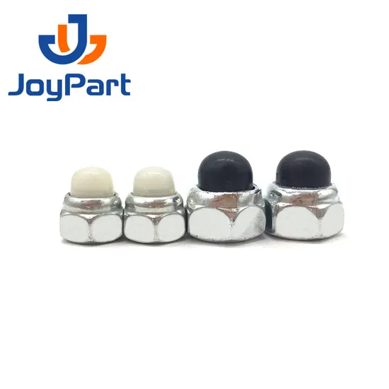 SS316 Self Locking Nut Cap Nut Stainless Steel 304 DIN986 Dome Nylon OEM ODM Plain Obm DIN 2-5 Days for Standard Parts Metric